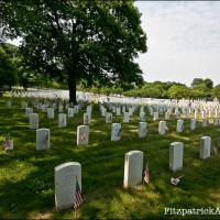 Cypress Hills National Cemetery